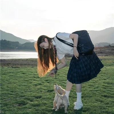 侠盗高飞